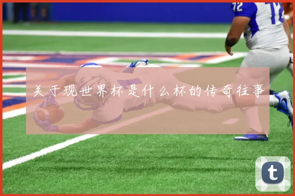 关于现世界杯是什么杯的传奇往事