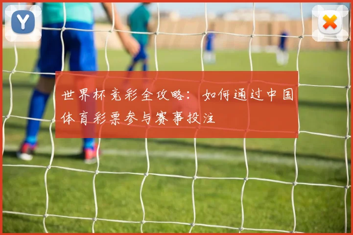 世界杯竞彩全攻略：如何通过中国体育彩票参与赛事投注