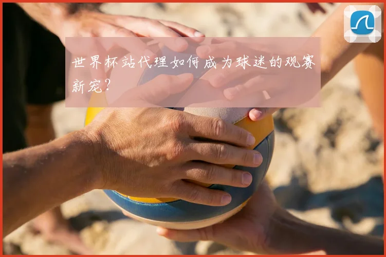 世界杯站代理如何成为球迷的观赛新宠？