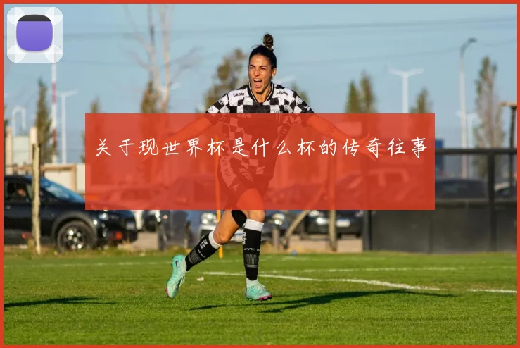 关于现世界杯是什么杯的传奇往事