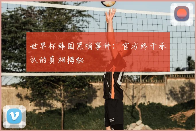 世界杯韩国黑哨事件：官方终于承认的真相揭秘