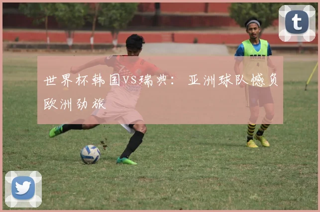 世界杯韩国vs瑞典：亚洲球队憾负欧洲劲旅