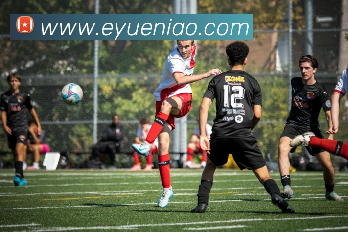 奇异果官网入口发展历程